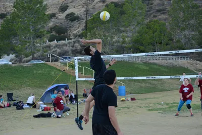 DSC_5462 (Large).JPG